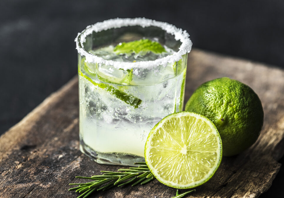 Image shows a highball glass rimmed with salt, filled with white soda, mint and limes. A sliced lime sits next to the glass on a table with more garnish.